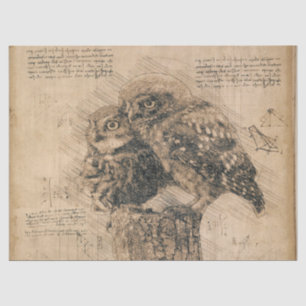 Vintage Owl Drawing Tissue Paper