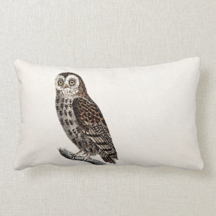 Vintage Owl Illustration - 1800's Birds Templates Lumbar Cushion