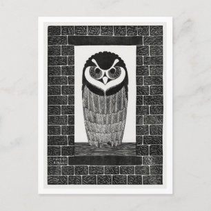 Vintage Owl in the Window Postcard