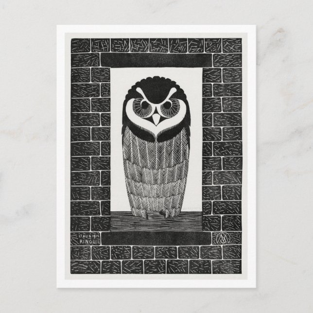 Vintage Owl in the Window Postcard (Front)