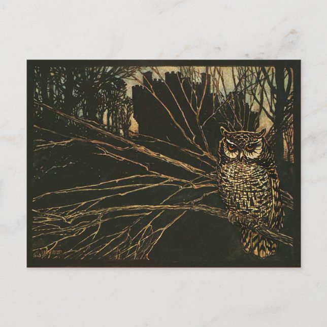 Vintage Owl in the Woods Postcard (Front)
