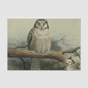 Vintage owl lovers party or craft tissue paper