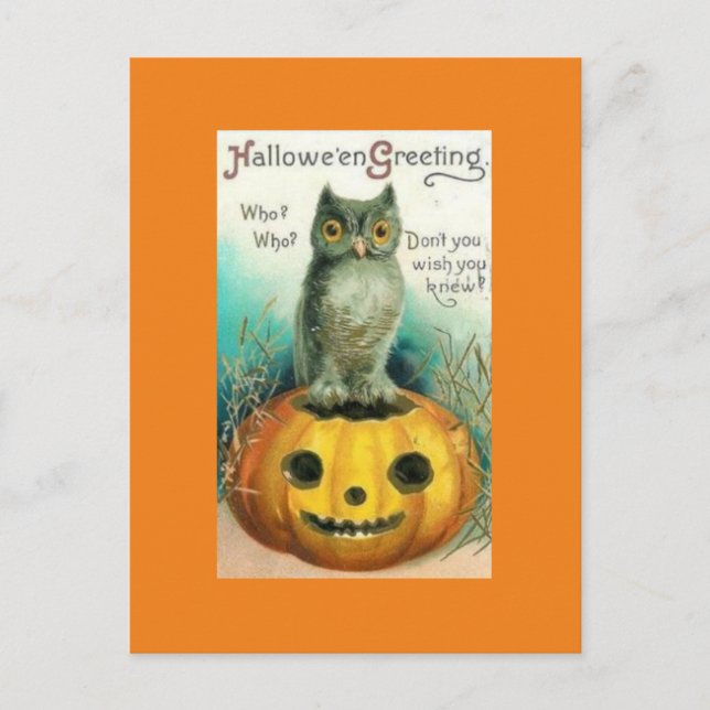 Vintage Owl on Pumpkin Halloween Postcard (Front)