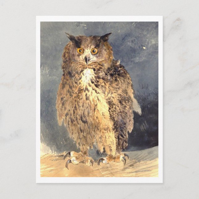 Vintage Owl Painting Postcard (Front)