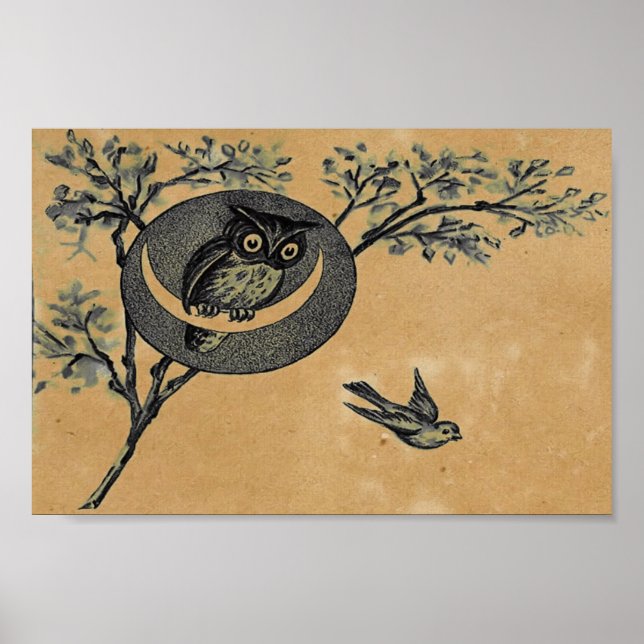 Vintage Owl Poster (Front)