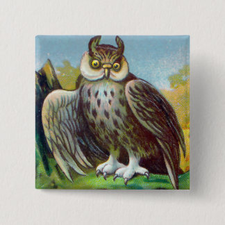 Vintage Owl Print 15 Cm Square Badge