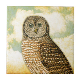 Vintage Owl with Clouds Tile