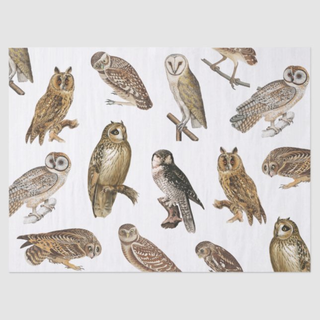 Vintage Owls Pattern Decoupage Tissue Paper (Front)