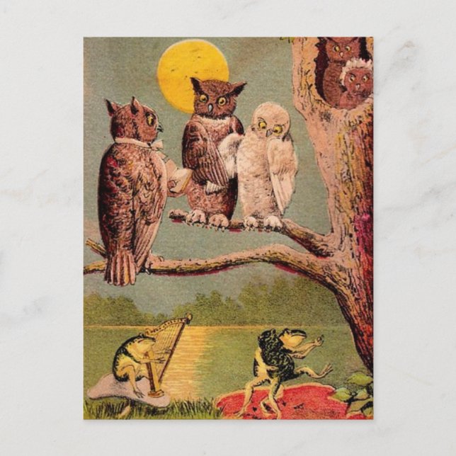 Vintage Owls Postcard (Front)
