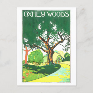 Vintage Oxhey Woods Travel Postcard