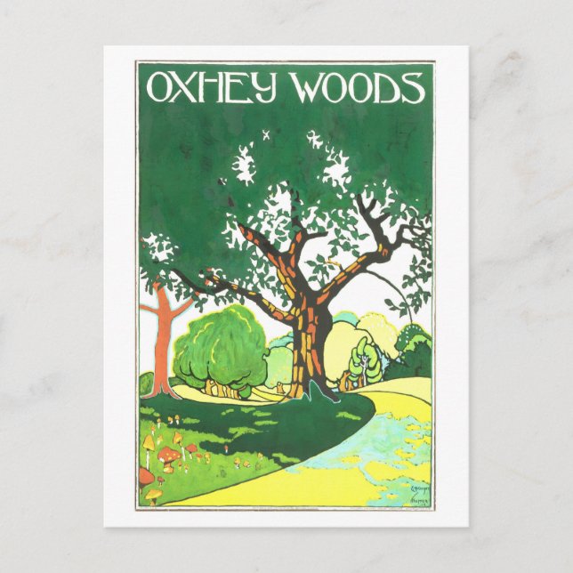 Vintage Oxhey Woods Travel Postcard (Front)