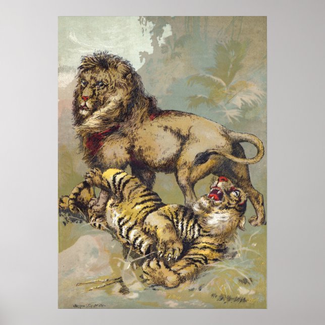 Vintage P. T. Barnum Lion and Tiger Print (Front)