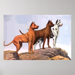 Vintage Painted Great Danes Poster