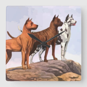 Vintage Painted Great Danes Square Wall Clock