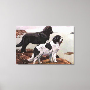 Vintage Painted Newfoundlands Wrapped Canvas Print