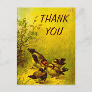 Vintage Painted Sparrows Thank You Postcard