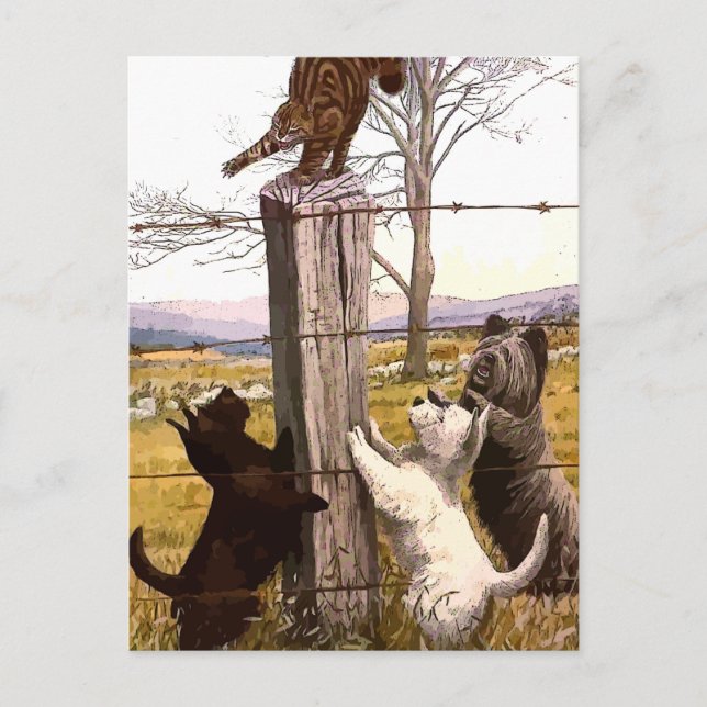 vintage painted terriers with bobcat postcard (Front)