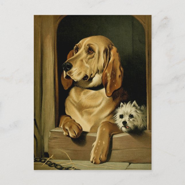 Vintage Painting: Dignity and Impudence Postcard (Front)