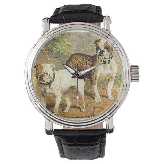 Vintage Painting of English Bulldogs Watch (Front)