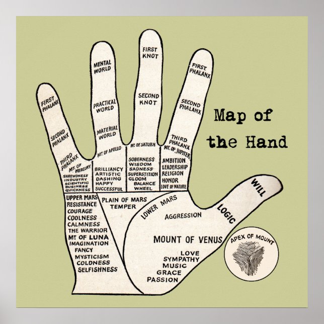 Vintage palm reading palmistry Hand Map Poster (Front)