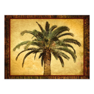 Vintage Palm Tree - Tropical Customised Template Photo Print