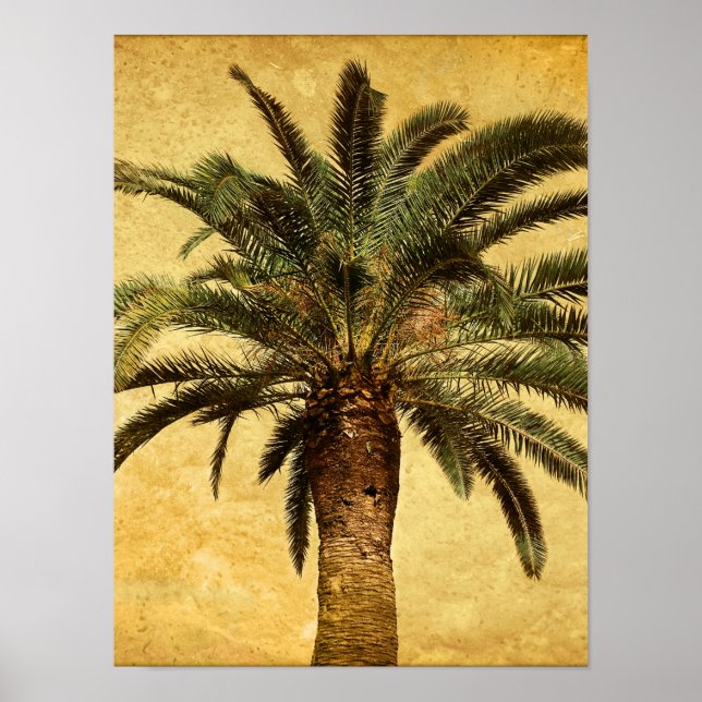 Vintage Palm Tree - Tropical Customised Template Poster (Front)