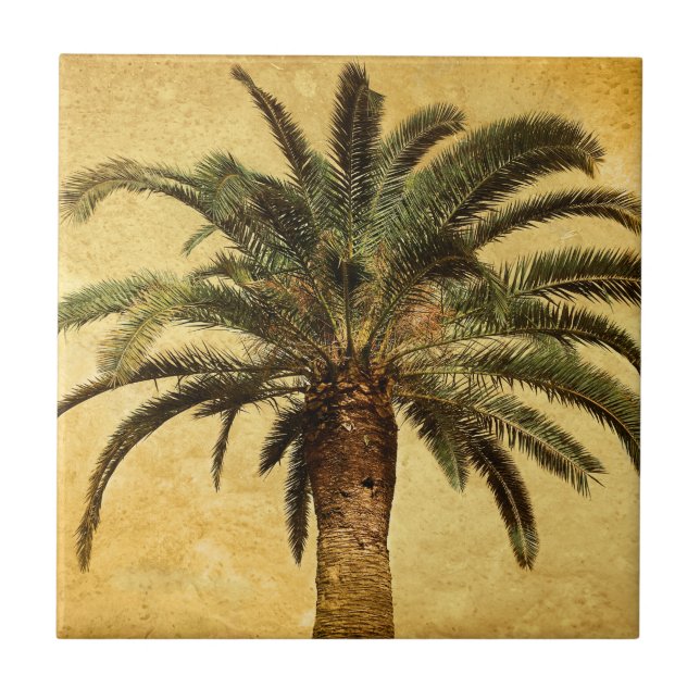 Vintage Palm Tree - Tropical Customised Template Tile (Front)