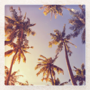 Vintage Palm Trees Blue Sky Glass Coaster