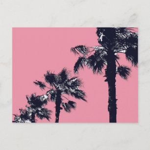 Vintage Palm Trees Postcard