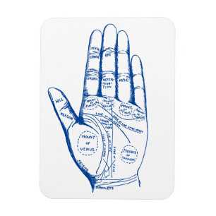 Vintage Palmistry Chart Palm Reading Magnet