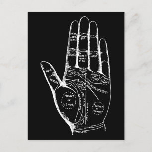 Vintage Palmistry Chart Palm Reading Postcard