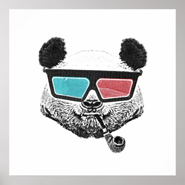 Vintage panda 3-D glasses Poster (Front)