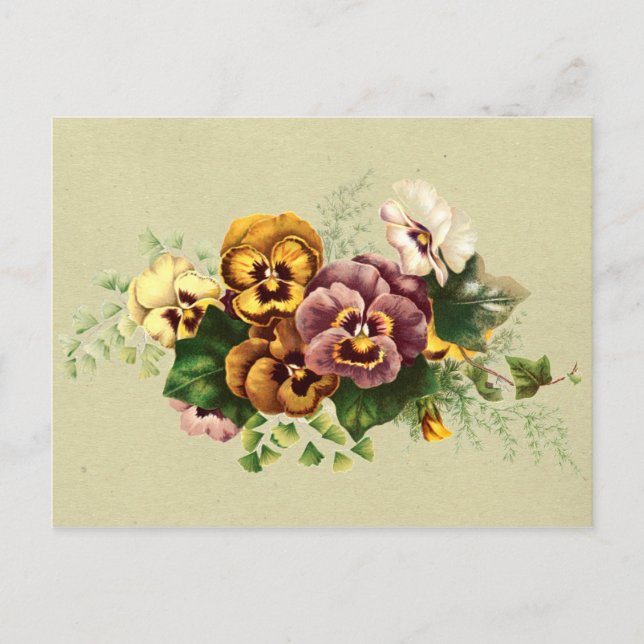 Vintage Pansies Bouquet Postcard (Front)