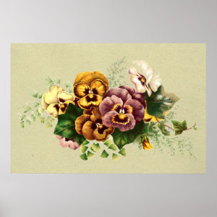 Vintage Pansies Bouquet Poster