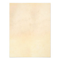 Vintage Paper Antique Parchment Template Blank