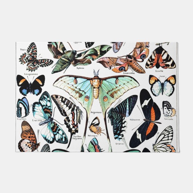Vintage Papillon Butterflies Illustration Art Doormat (Front)