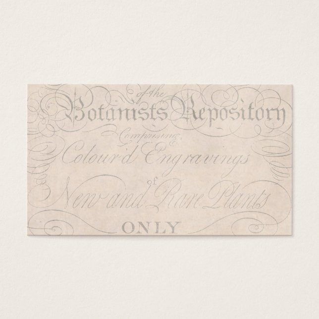 Vintage Parchment Botanical Script 1700s Template (Front)