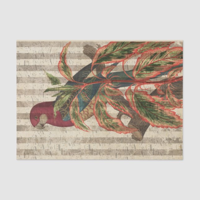 Vintage Parrot and Tropical Leaves Tissue Paper (Front)
