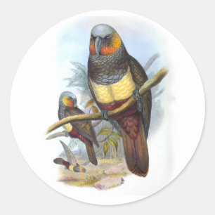 Vintage Parrot Bird PE_GC - Sticker