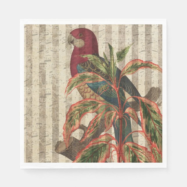 Vintage Parrot Tropical  Napkin (Front)