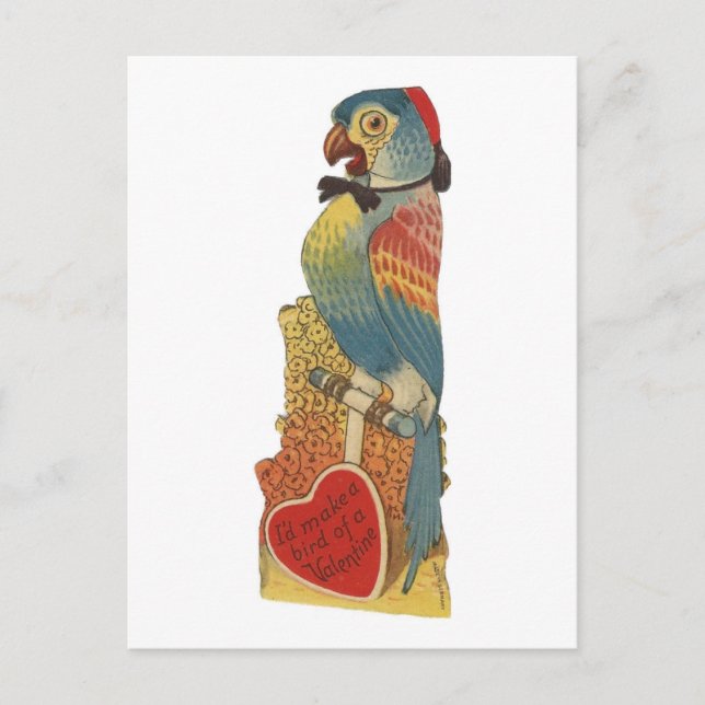 Vintage Parrot Valentine Holiday Postcard (Front)