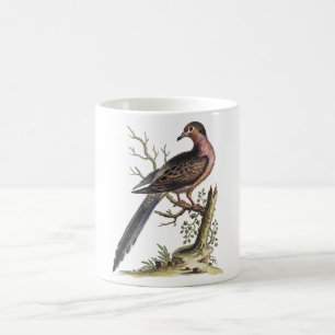 Vintage Passenger Pigeon Illustration Coffee Mug