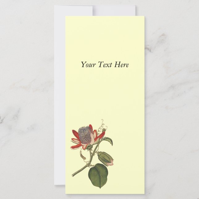 Vintage Passion Flower (Front)