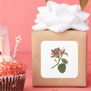 Vintage Passion Flower Square Sticker