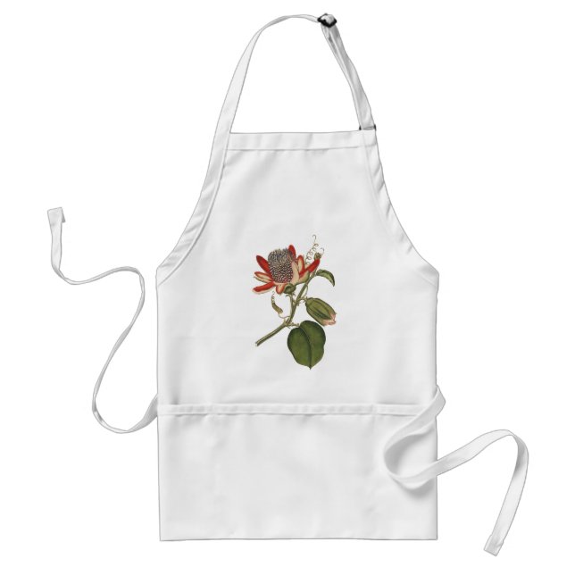 Vintage Passion Flower Standard Apron (Front)