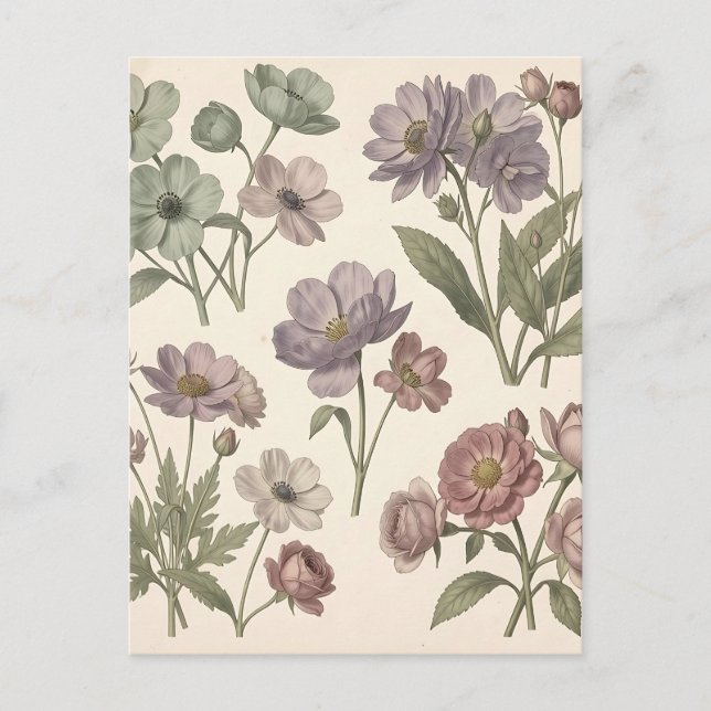 Vintage Pastel Anemones Roses Soft Botanical Postcard (Front)
