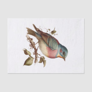 Vintage Pastel Bird Art for Decoupage Tissue Paper