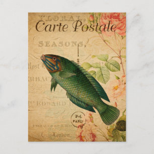 Vintage Pastel Green Wrasse Fish Floral French Postcard