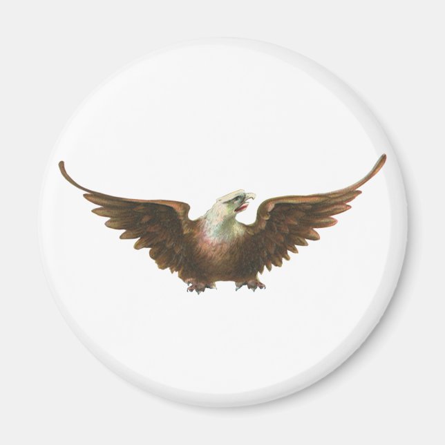 Vintage Patriotism American Bald Eagle Bird Flying Magnet (Front)