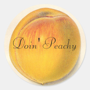 Vintage Peach Stickers